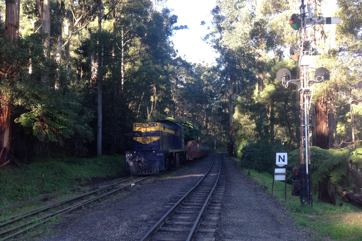 รถไฟสายประวัติศาสตร์ Puffing Billy เบลเกรฟ
